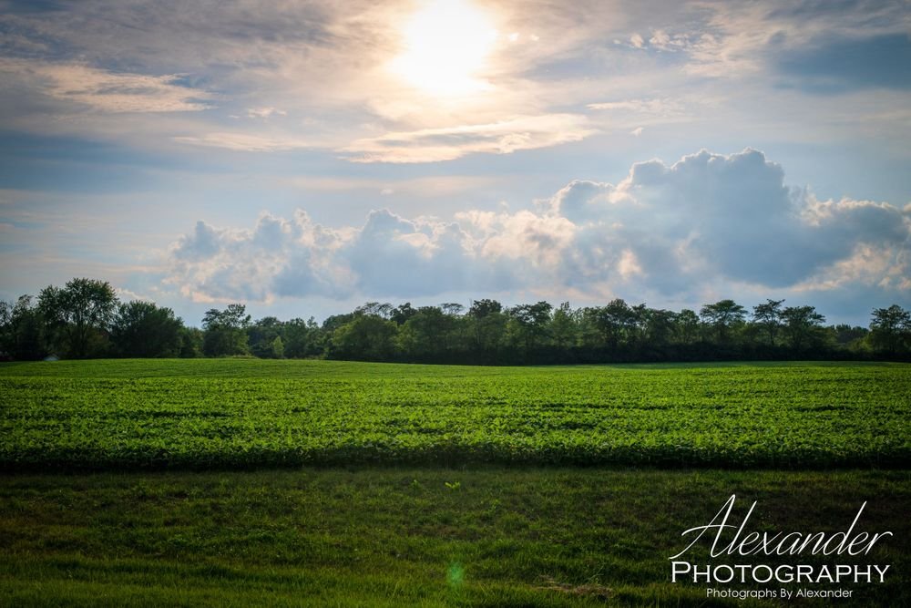 Landscapes