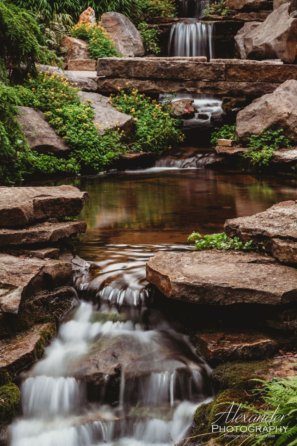 Landscapes